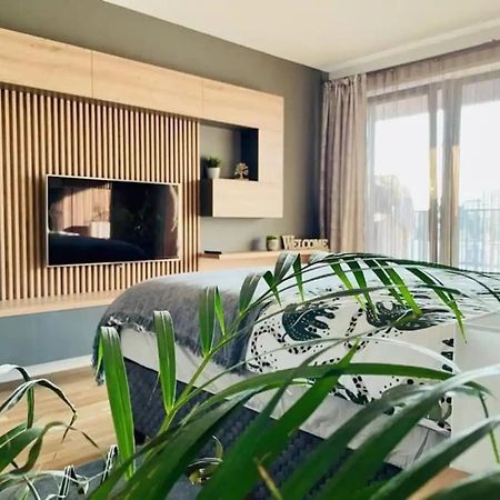 Joy City Stay Cosmopolit 503 براشوف المظهر الخارجي الصورة
