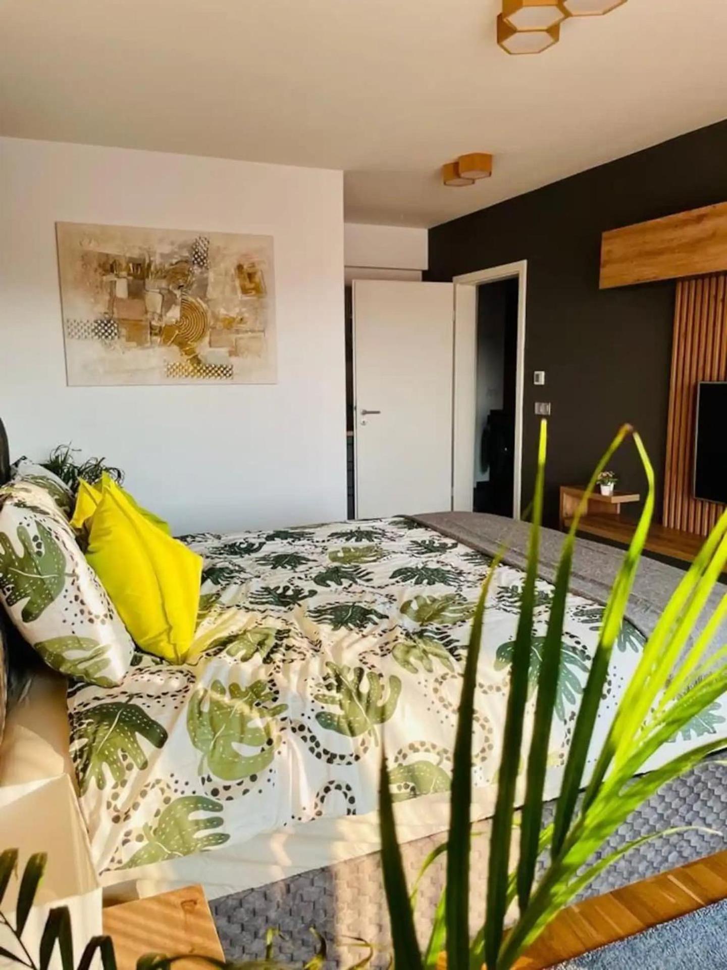 Joy City Stay Cosmopolit 503 براشوف المظهر الخارجي الصورة